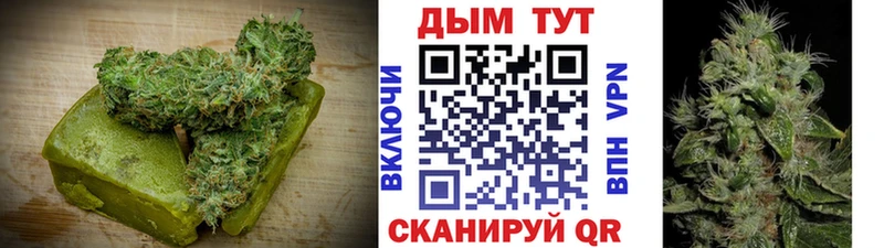 Еда ТГК конопля  купить  цена  гидра вход  Новошахтинск 