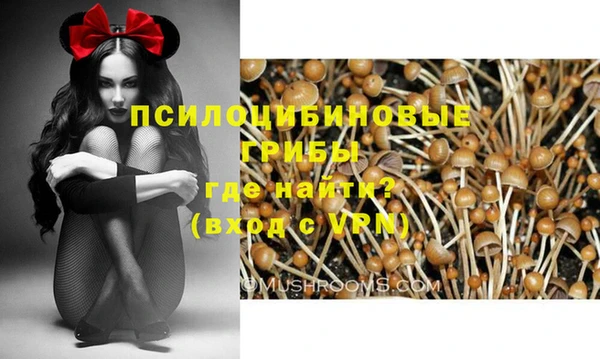 МДМА Козловка