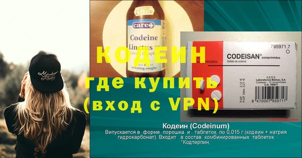 СК Кодинск