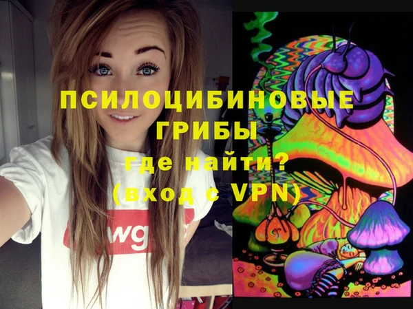 СК Кодинск