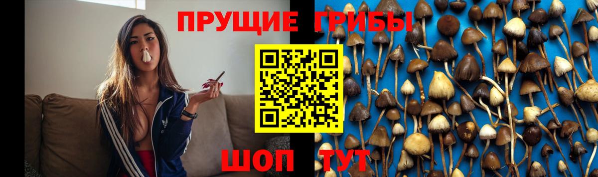 Новошахтинск  Псилоцибиновые грибы прущие грибы  Вход с VPN 